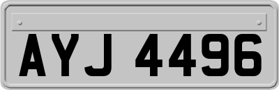 AYJ4496