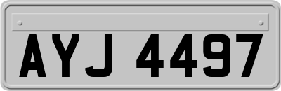 AYJ4497