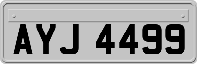 AYJ4499