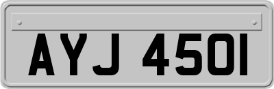 AYJ4501