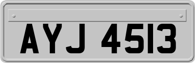 AYJ4513