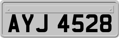 AYJ4528