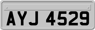 AYJ4529