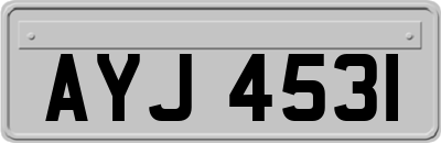 AYJ4531