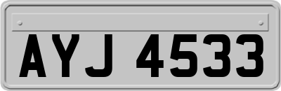 AYJ4533