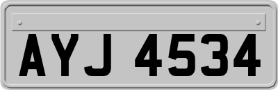 AYJ4534