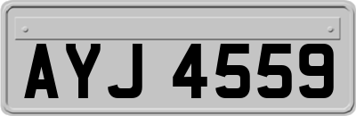 AYJ4559