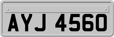 AYJ4560