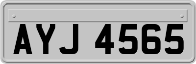 AYJ4565