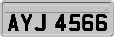 AYJ4566
