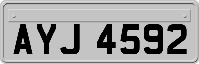 AYJ4592