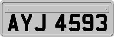 AYJ4593