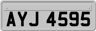 AYJ4595