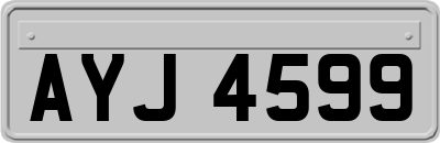AYJ4599