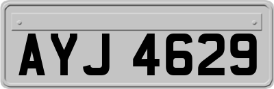 AYJ4629