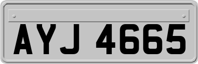 AYJ4665
