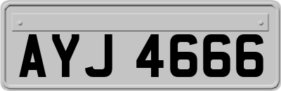 AYJ4666