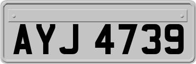 AYJ4739