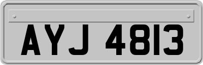 AYJ4813