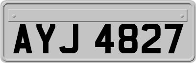 AYJ4827