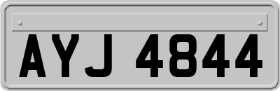AYJ4844