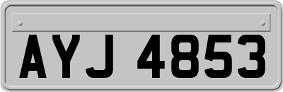 AYJ4853