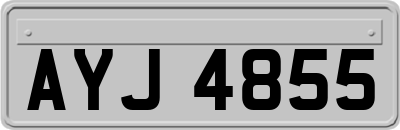 AYJ4855