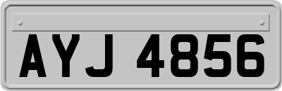 AYJ4856