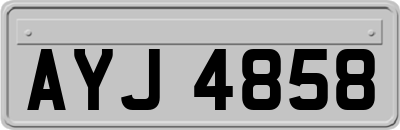 AYJ4858