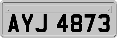 AYJ4873