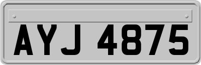 AYJ4875