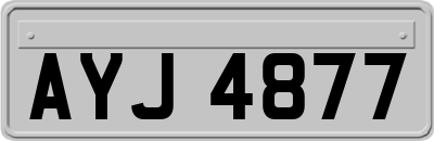 AYJ4877