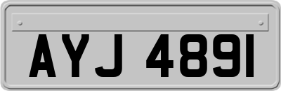 AYJ4891