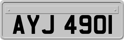 AYJ4901