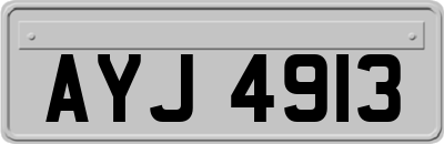 AYJ4913