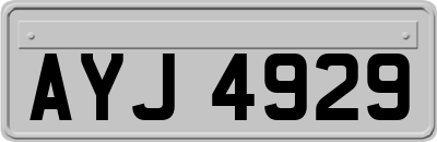 AYJ4929