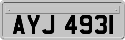 AYJ4931