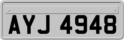 AYJ4948