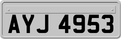 AYJ4953