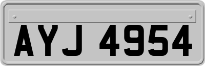 AYJ4954