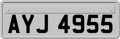 AYJ4955