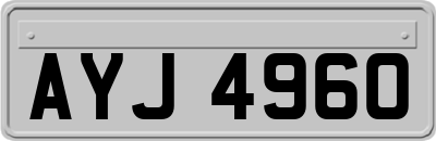 AYJ4960