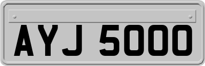 AYJ5000