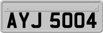 AYJ5004