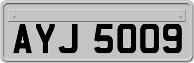 AYJ5009