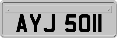 AYJ5011
