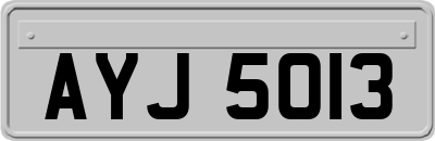 AYJ5013