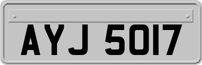 AYJ5017