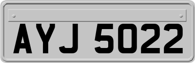 AYJ5022