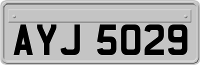 AYJ5029